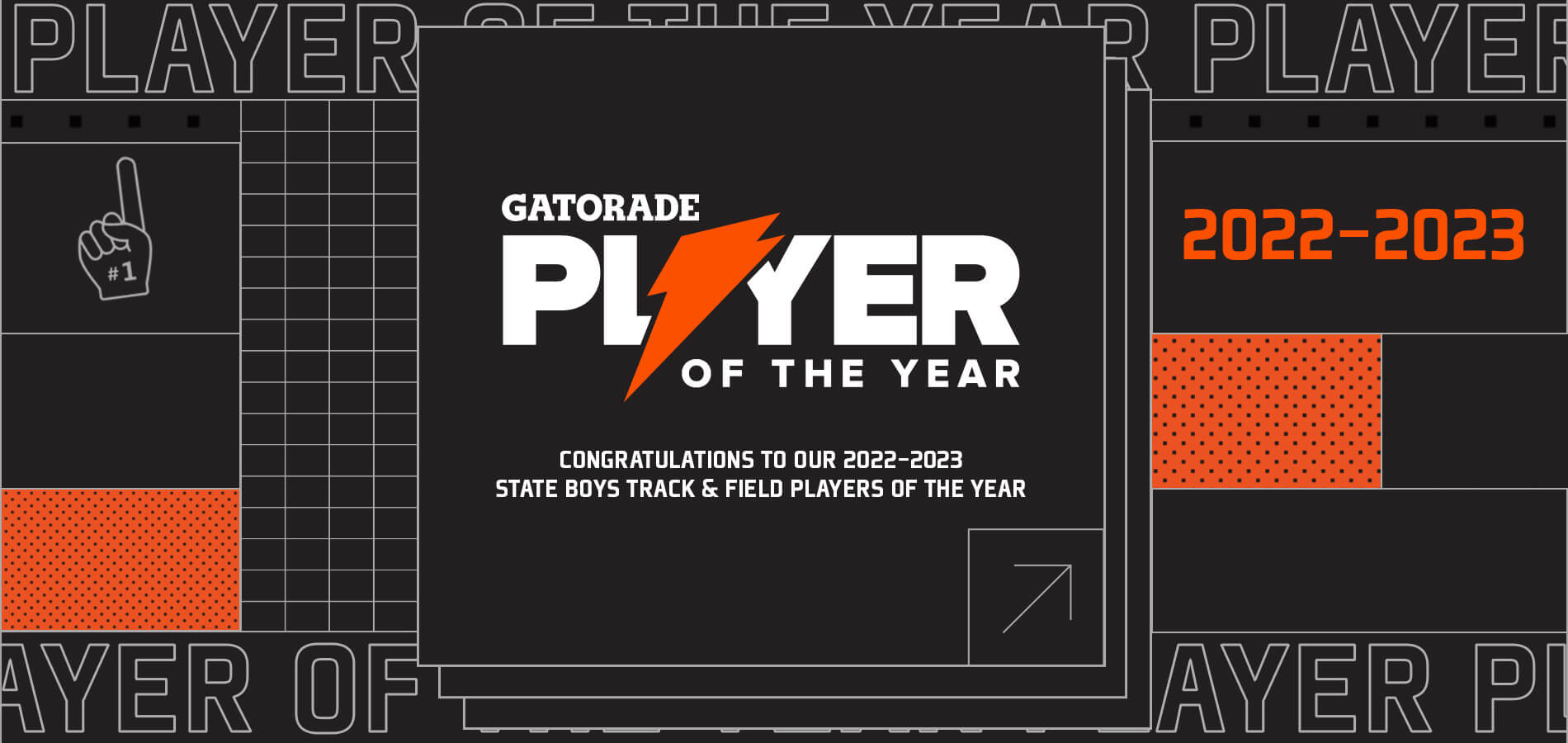 Gatorade Player of the Year Honoring Athletic Excellence, Academic